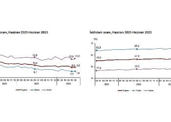 TÜİK: Mevsim tesirinden arındırılmış işsizlik oranı %9,6 düzeyinde gerçekleşti