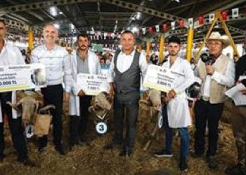 3. Küçükbaş Hayvancılık Şenliği Başlıyor