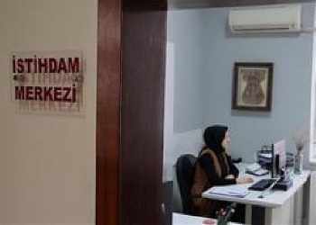 Anıl Orman Eserleri 25 İşçi Alımı Yapacak