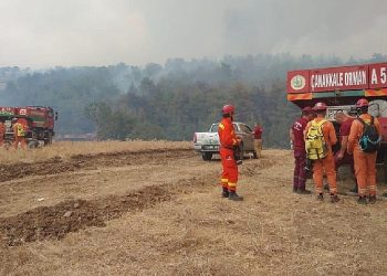 Beylikdüzü Belediyesi grupları Çanakkale’de