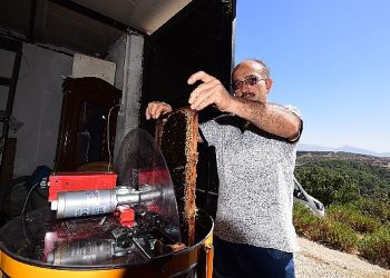 Bornovalı Arıcılarda Hasat Memnunluğu