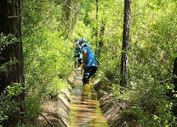 Büyükşehir’den Kış Öncesi Sulama Kanalı Paklığı
