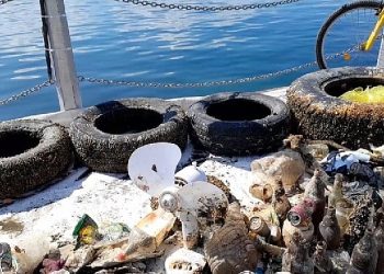 Dünya Paklık Günü’nde 432 kilo atık toplandı