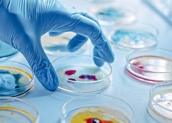 Enfeksiyonun En Ağır Hali: Sepsis