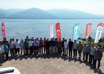 Eşme’de Sapanca gölüne 100 bin sazan salındı 