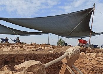 Harran Üniversitesi, Dünya Tarihine Taraf Verecek Çalışmalarda Etkin Rol Alıyor