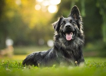 Hepsiburada’dan can dostlarımıza dayanak
