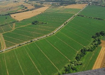 Kocaeli Büyükşehir’den çiftçilere tohum dayanağı