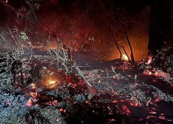 Lider Kılıç ve BUCAKUT Yangın Bölgesinde