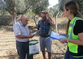 Milas Belediyesi Ziraî Üretimi desteklemeye devam ediyor