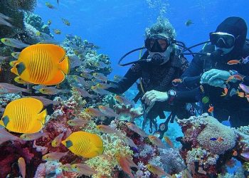 Setur’dan Yazı Bitiremeyenlere Özel Sıcak Rota Teklifleri