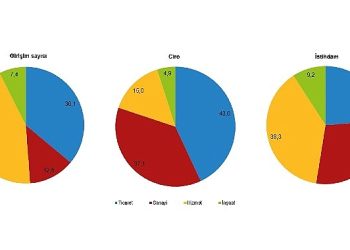 Teşebbüs sayısı ve istihdamda en yüksek hissesi hizmet kesimi oluşturdu