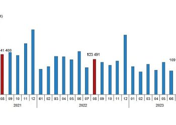 Türkiye genelinde Ağustos ayında 122 bin 91 konut satıldı