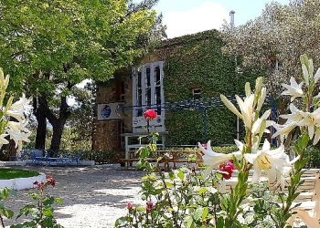 Uzay ve Gökyüzü Tutkunlarının Buluşma Adresi: EÜ Gözlemevi