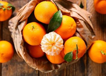 Yaş meyve zerzevat ihracatı 8 ayda 2 milyar doları aştı