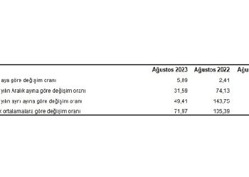 Yurt İçi Üretici Fiyat Endeksi (Yİ-ÜFE) yıllık yüzde 49,41, aylık yüzde 5,89 arttı
