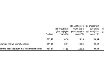 Ziraî girdi fiyat endeksi (Tarım-GFE) yıllık yüzde 34,32, aylık yüzde 6,56 arttı