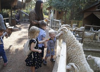 Antalya Doğal Hayat Parkı 4 Ekim’de Fiyatsız
