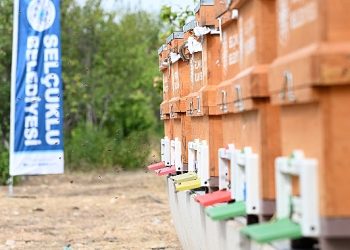 Arılı Kovan Dayanağı