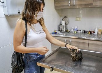 Buca’da Can Dostları için Seferberlik Başlatıldı