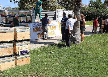 Büyükşehir’den Serikli Arıcılara Kovan Dayanağı