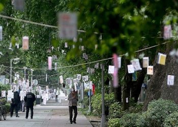 Cumhuriyet Bulvarı’nda Ağaçlar Kitap Açacak