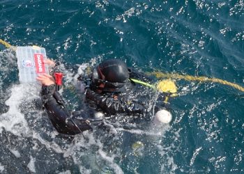 Deniz Ekosistemine Sahip Çıkan Dardanel ve Şahika Ercümen 300 Istakozu Doğal Ortamıyla Buluşturdu