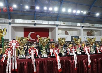 Dünyanın En Büyük Kanarya Müsabakası Edremit’te