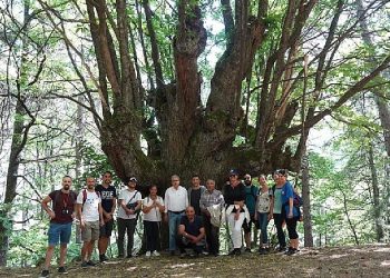 Efeler Yolu Projesine Milletlerarası Ödül