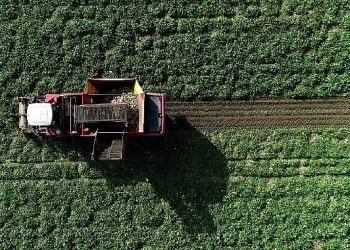 Erzurum ve Erzincan’da ziraî dönüşüm devam ediyor