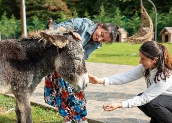 Hepsiburada, 4 Ekim Hayvanları Müdafaa Günü’nde Can Dostlarımızı Unutmadı