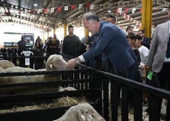 İnegöl’de 3. Küçükbaş Hayvancılık Şenliği Başladı