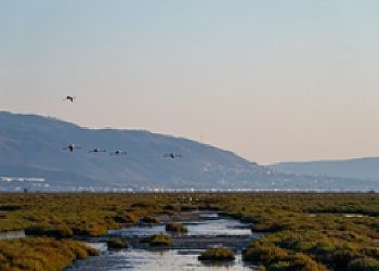 İzmir, Gediz Deltası projesiyle Ufuk Avrupa Programı’nı Kazandı
