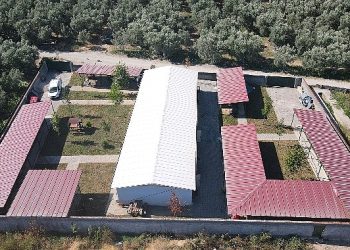 İznik Belediyesi’nden sokak hayvanlarına tam teşekküllü merkez