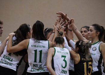 Körfezin Sultanları başkanı devirdi