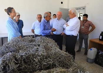 Muğla’da Büyükşehir Belediyesi’nin Ziraî Güçbirliği Projesi Üreticiye Kazandırıyor