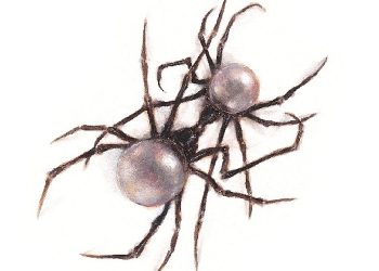 Muud’da Yerli ve Yabancı Sanatkarlarda Birinci 10 Belirlendi