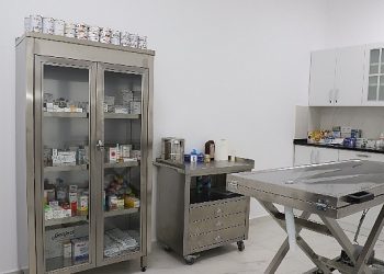 Şile Belediyesi’nden Sokak Hayvanları için Özel Operasyon Merkezi