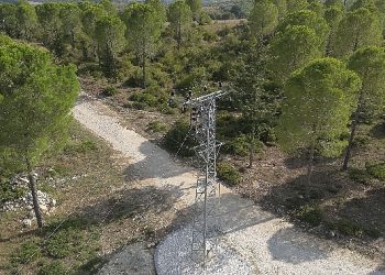 Toroslar EDAŞ’tan Orman Yangını Riskine Karşı Yeni Önlem