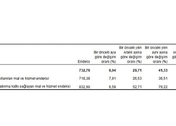 Ziraî girdi fiyat endeksi (Tarım-GFE) yıllık yüzde 41,33, aylık yüzde 6,94 arttı
