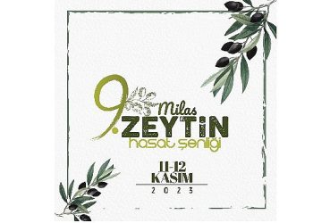 9 Milas zeytin hasat şenliği heyecanı başlıyor