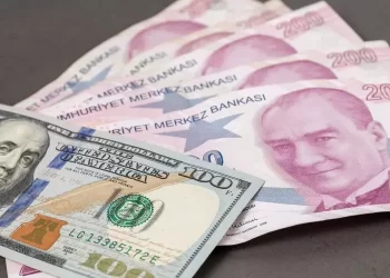 Ekonomistlerden enflasyon ve dolar tahmini