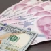 Ekonomistlerden enflasyon ve dolar tahmini
