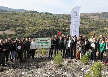 Aksigorta Hatıra Ormanı İzmit’ten Sonra  Manisa’da Yeşeriyor