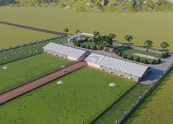 Antalya Büyükşehir Belediyesi özgür gezen tavuk çiftliği kuruyor