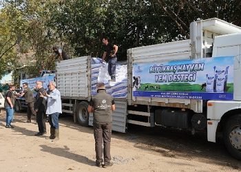 Aydın büyükşehir belediyesi’nden selden etkilenen üreticiye yem dayanağı