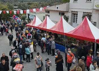 Bayındır Ergenli Zeytin Şenliği Pazar Günü 2. Defa Yapıldı
