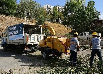 Budanan kollar gübreye dönüşüyor