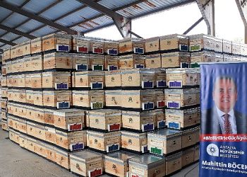 Büyükşehirden üreticilere 2500 arı kovanı dayanağı