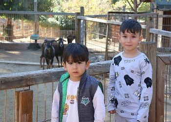 Doğal Ömür Parkı’na ziyaretçi akını